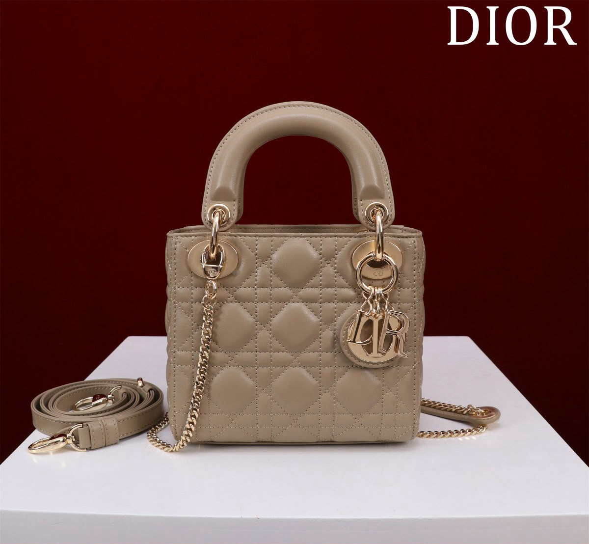 Dior Lady D-Joy Mini vista frontal