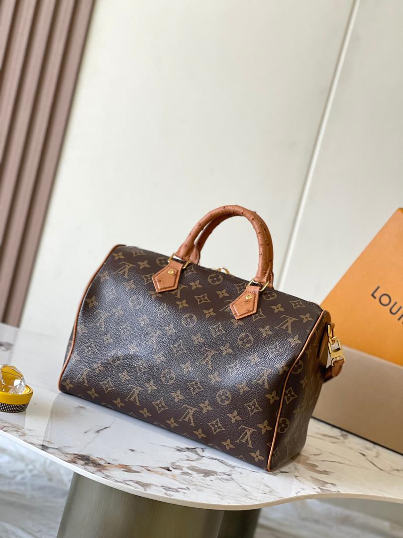 Louis Vuitton Speedy Bandoulière 25 vista frontal
